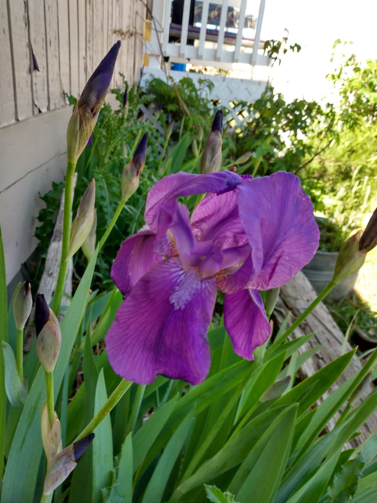 Attention: from 2017.