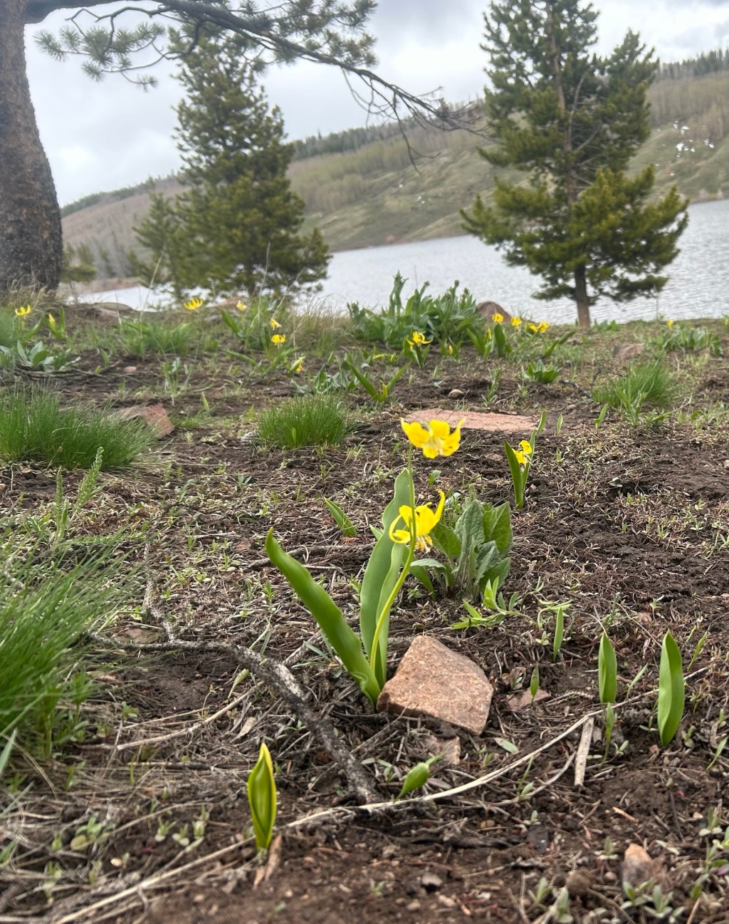 Endless Finite Imaginary&nbsp;Infinitum.