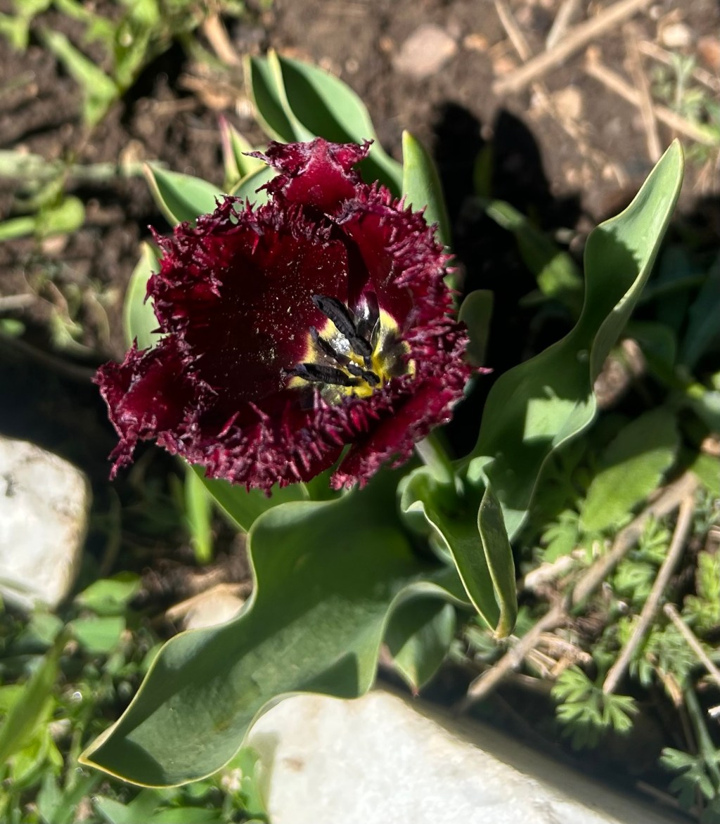 Instinct & Imagination