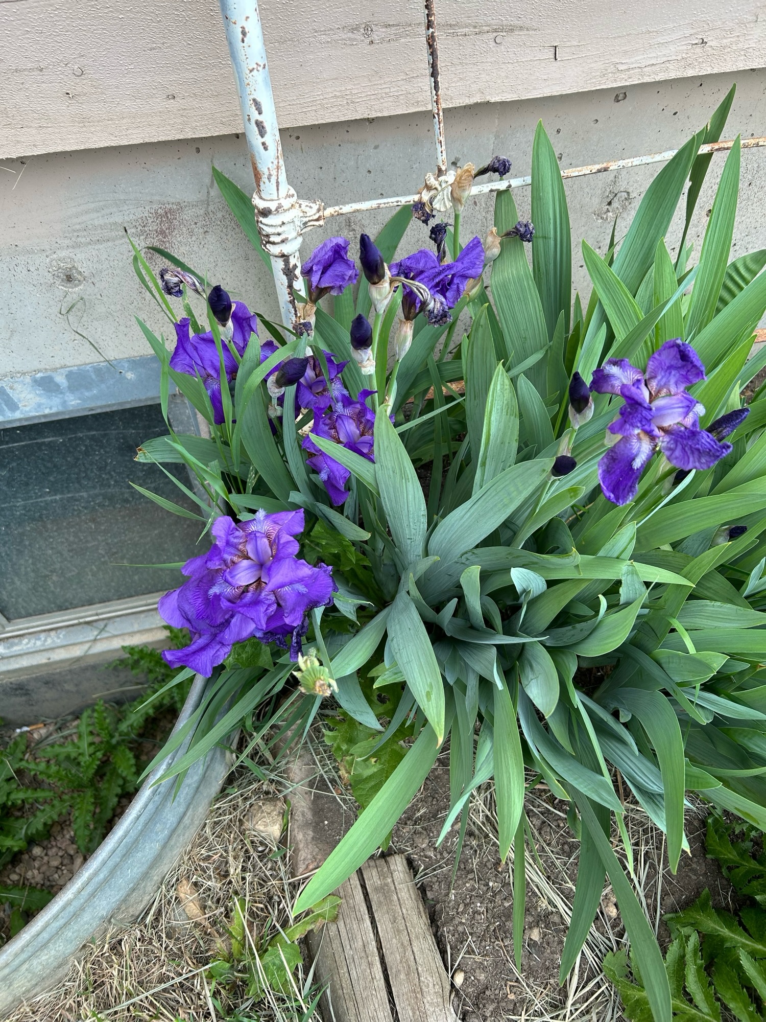 Everything Does Not Attach To Everything!